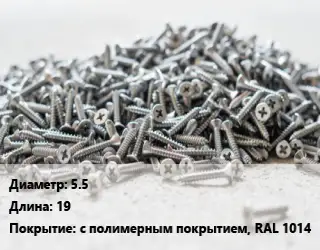 Шуруп 5.5х19 с полимерным покрытием, RAL 1014